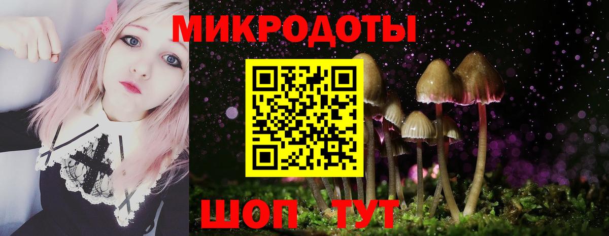 Армавир  Псилоцибиновые грибы прущие грибы  Вход с VPN 